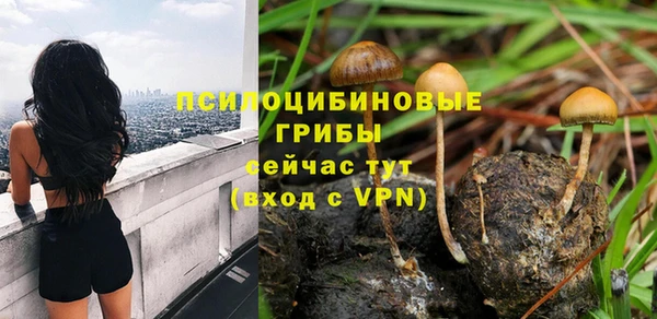 твердый Пролетарск