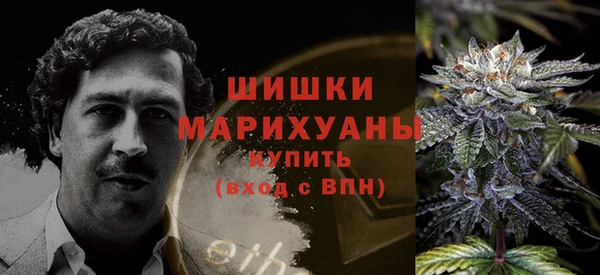 индика Рославль